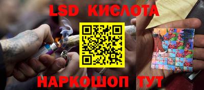 прущие грибы Будённовск