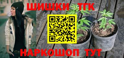 прущие грибы Будённовск