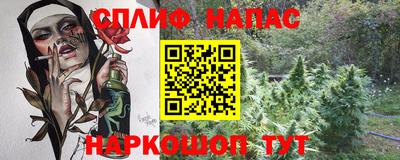прущие грибы Будённовск