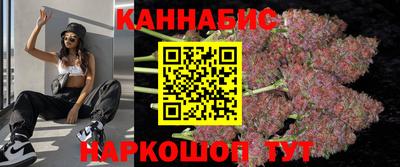 прущие грибы Будённовск