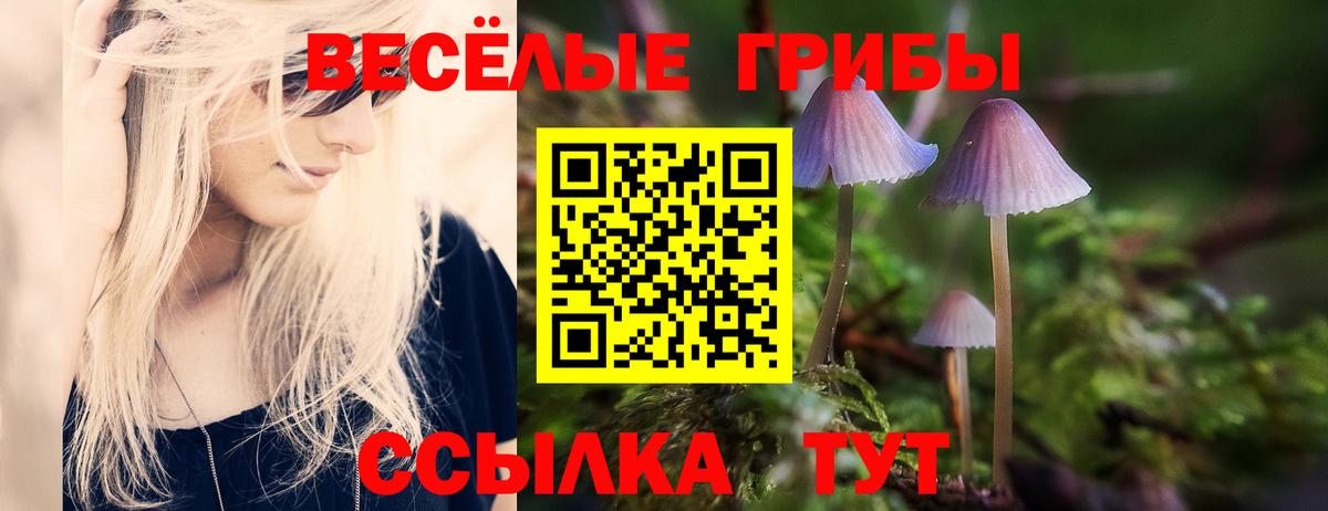 Галлюциногенные грибы MAGIC MUSHROOMS  Вход с VPN  купить закладку  Славгород 