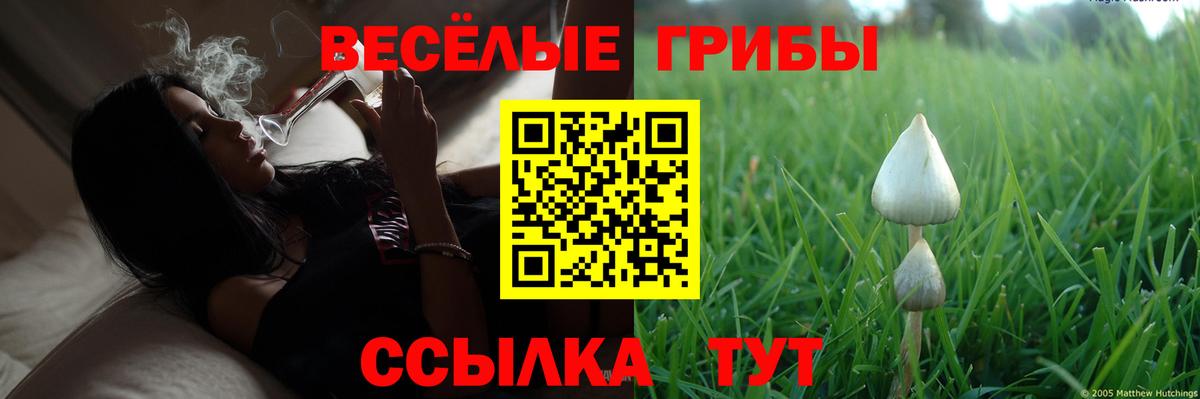 Галлюциногенные грибы GOLDEN TEACHER Славгород